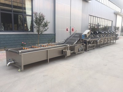 凈菜加工流水線